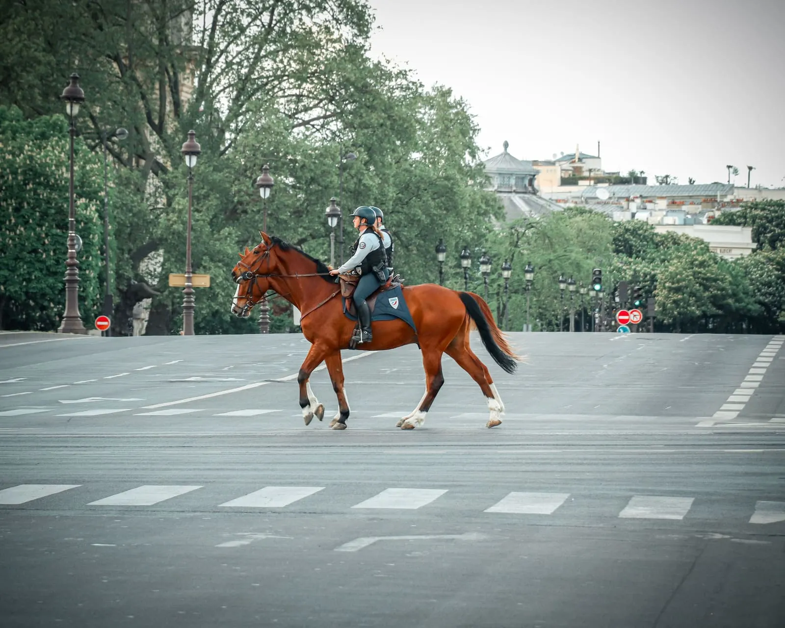 Cavalier en patrouille montée sur une avenue parisienne déserte au petit matin